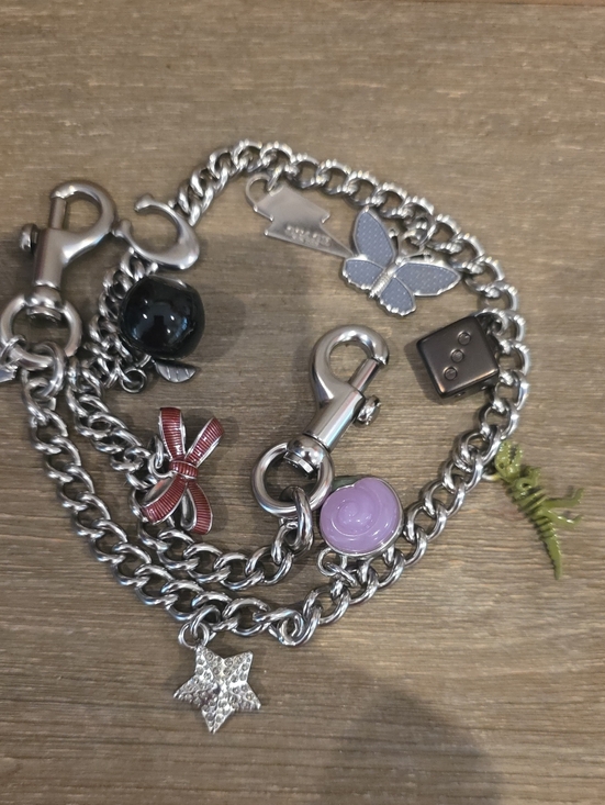 Coach Accessories - Coach Nwt Charm Chain Strap